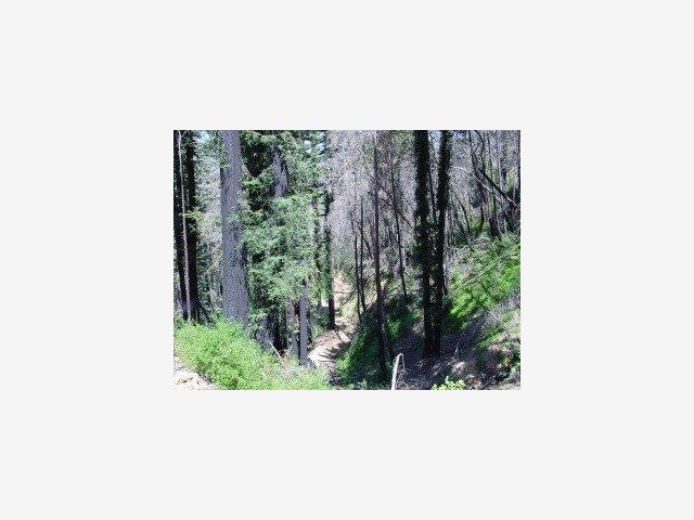 MT MADONNA Road, MORGAN HILL, California 95037, ,Lots And Land,For Sale,MT MADONNA Road,40966782