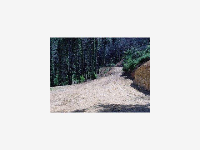 MT MADONNA Road, MORGAN HILL, California 95037, ,Lots And Land,For Sale,MT MADONNA Road,40966782