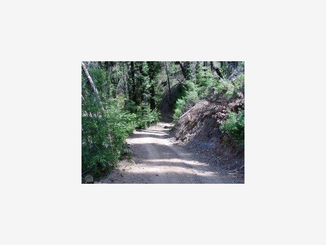 MT MADONNA Road, MORGAN HILL, California 95037, ,Lots And Land,For Sale,MT MADONNA Road,40966782
