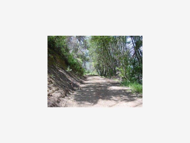 MT MADONNA Road, MORGAN HILL, California 95037, ,Lots And Land,For Sale,MT MADONNA Road,40966782