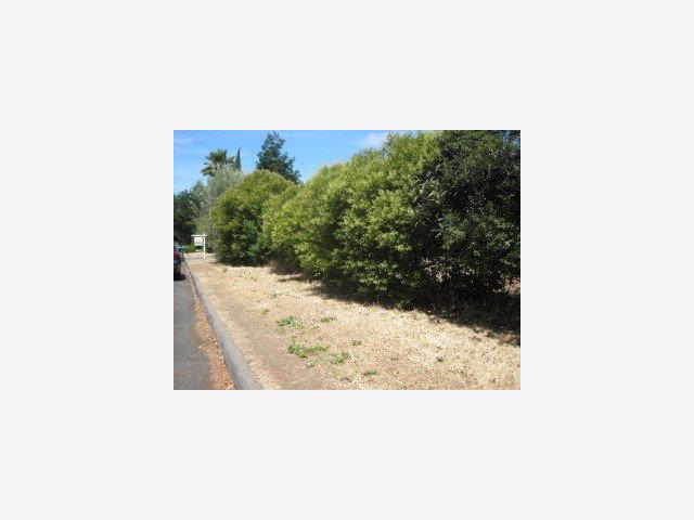 840 CAMPBELL Avenue, SAN JOSE, California 95130, ,Lots And Land,For Sale,CAMPBELL Avenue,40966694