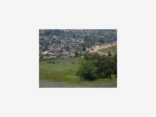 0 Pedro View Ct, SAN JOSE, California 95148, ,Lots And Land,For Sale,Pedro View Ct,40966719
