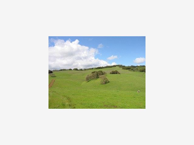 1002 METCALF Road, SAN JOSE, California 95140, ,Lots And Land,For Sale,METCALF Road,40966875