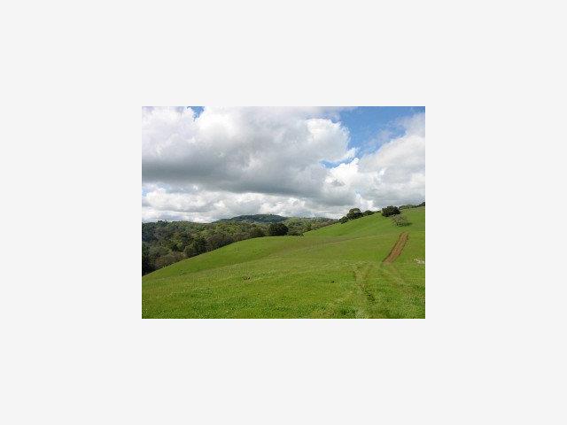 1002 METCALF Road, SAN JOSE, California 95140, ,Lots And Land,For Sale,METCALF Road,40966875