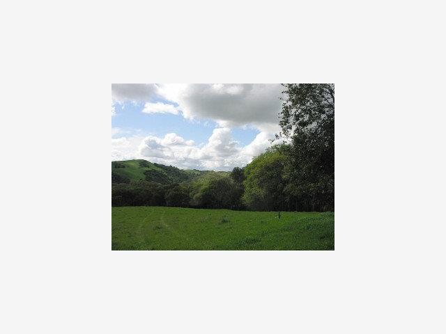 1002 METCALF Road, SAN JOSE, California 95140, ,Lots And Land,For Sale,METCALF Road,40966875