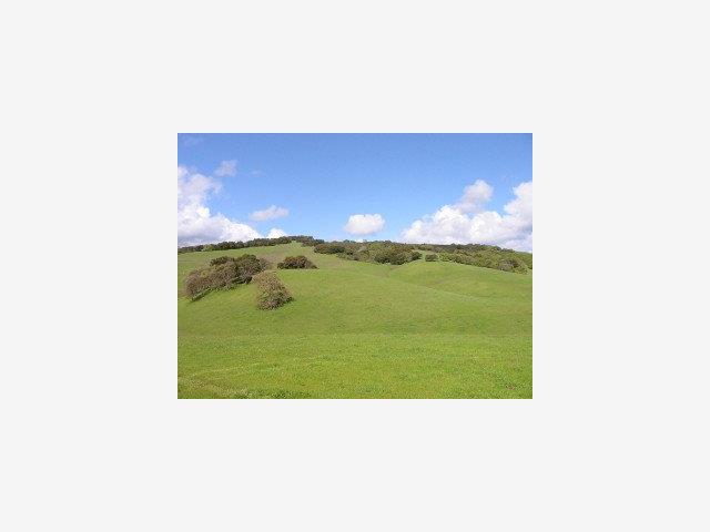 1002 METCALF Road, SAN JOSE, California 95140, ,Lots And Land,For Sale,METCALF Road,40966875