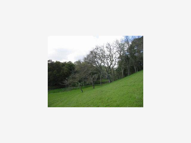 1002 METCALF Road, SAN JOSE, California 95140, ,Lots And Land,For Sale,METCALF Road,40966875