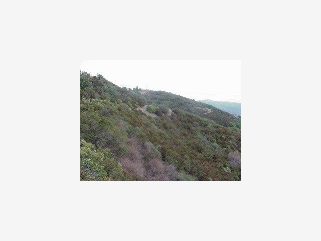 0 MC GILL Road, SARATOGA, California 95070, ,Lots And Land,For Sale,MC GILL Road,40966768
