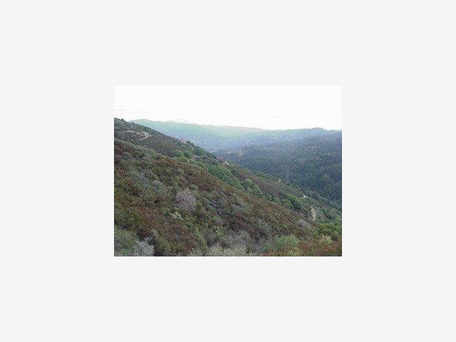 0 MC GILL Road, SARATOGA, California 95070, ,Lots And Land,For Sale,MC GILL Road,40966768