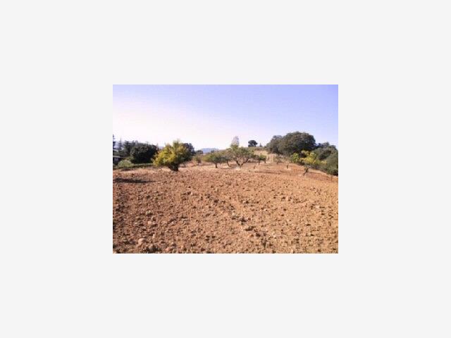 20888 WARDELL Road, SARATOGA, California 95070, ,Lots And Land,For Sale,WARDELL Road,40966803