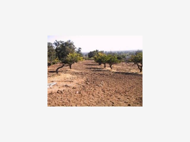 20888 WARDELL Road, SARATOGA, California 95070, ,Lots And Land,For Sale,WARDELL Road,40966803