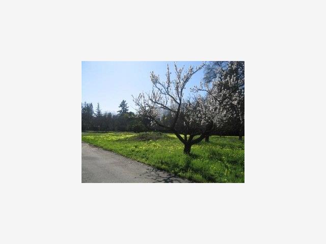 15360 BESTVIEW Court, SARATOGA, California 95070, ,Lots And Land,For Sale,BESTVIEW Court,40966821