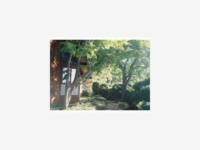 14006 PIKE Road, SARATOGA, California 95070, ,Lots And Land,For Sale,PIKE Road,40966876