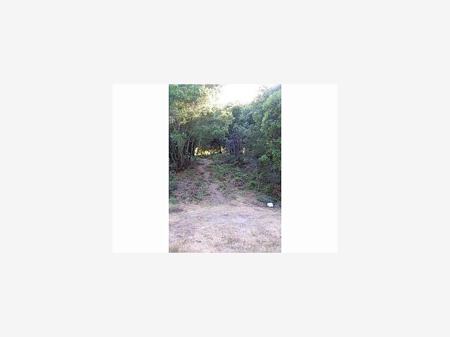0 Hidden Moon Road, OTHER - SEE REMARKS, California 95076, ,Lots And Land,For Sale,Hidden Moon Road,40967144