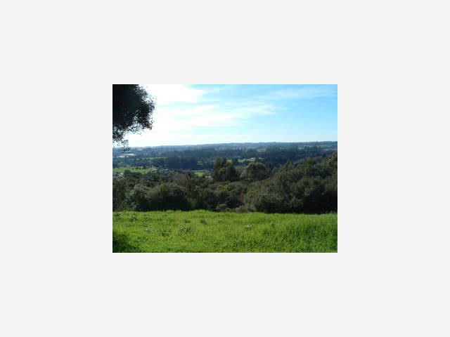 960 SMITH Road, OTHER - SEE REMARKS, California 95076, ,Lots And Land,For Sale,SMITH Road,40962737