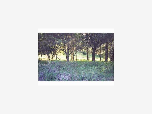 0 HESTER CREEK Road, LOS GATOS, California 95033, ,Lots And Land,For Sale,HESTER CREEK Road,40962746
