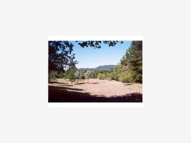 24163 SUMMIT WOODS Drive, LOS GATOS, California 95033, ,Lots And Land,For Sale,SUMMIT WOODS Drive,40966864