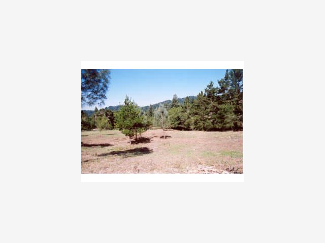 24163 SUMMIT WOODS Drive, LOS GATOS, California 95033, ,Lots And Land,For Sale,SUMMIT WOODS Drive,40966864