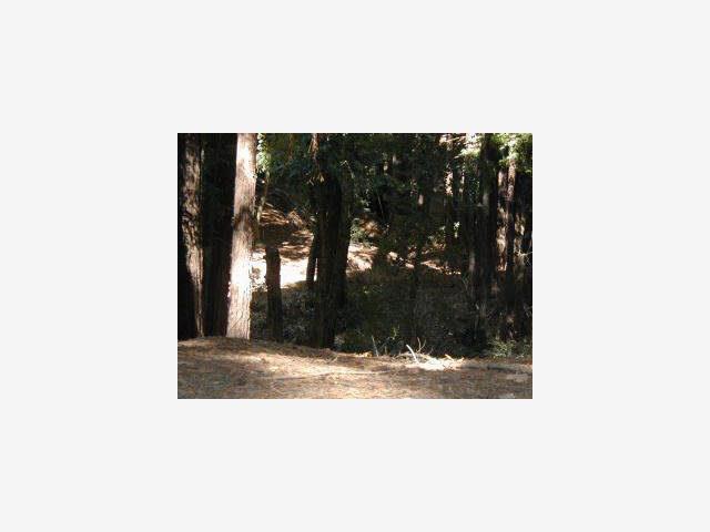 Unnamed, SAN LORENZO, California 95006, ,Lots And Land,For Sale,Unnamed,40967067