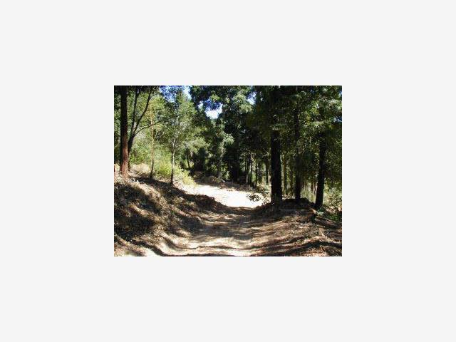 Unnamed, SAN LORENZO, California 95006, ,Lots And Land,For Sale,Unnamed,40967067