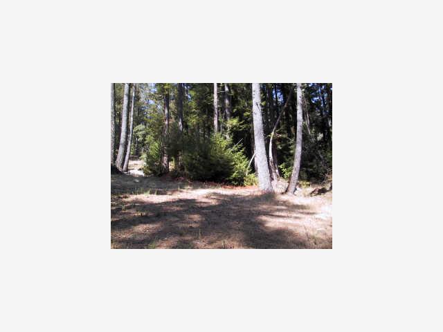 832 Kings, SAN LORENZO, California 95006, ,Lots And Land,For Sale,Kings,40962748