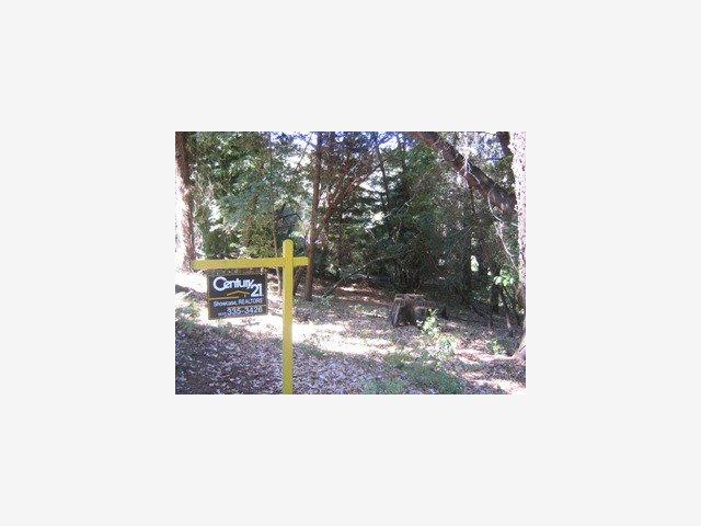0 Stephens, SAN LORENZO, California 95005, ,Lots And Land,For Sale,Stephens,40962703