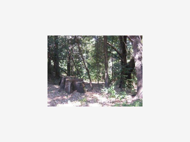 0 Stephens, SAN LORENZO, California 95005, ,Lots And Land,For Sale,Stephens,40962703