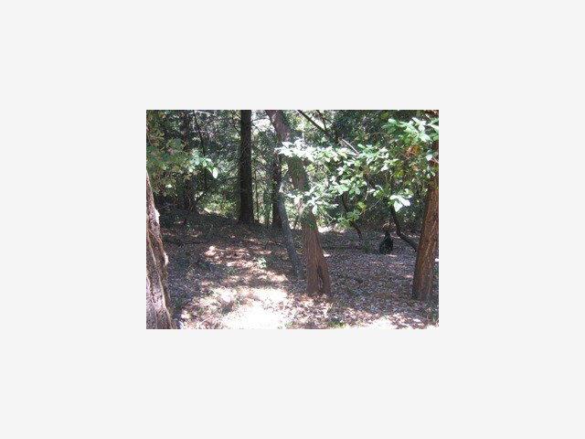 0 Stephens, SAN LORENZO, California 95005, ,Lots And Land,For Sale,Stephens,40962703