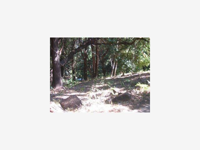 0 Stephens, SAN LORENZO, California 95005, ,Lots And Land,For Sale,Stephens,40962703