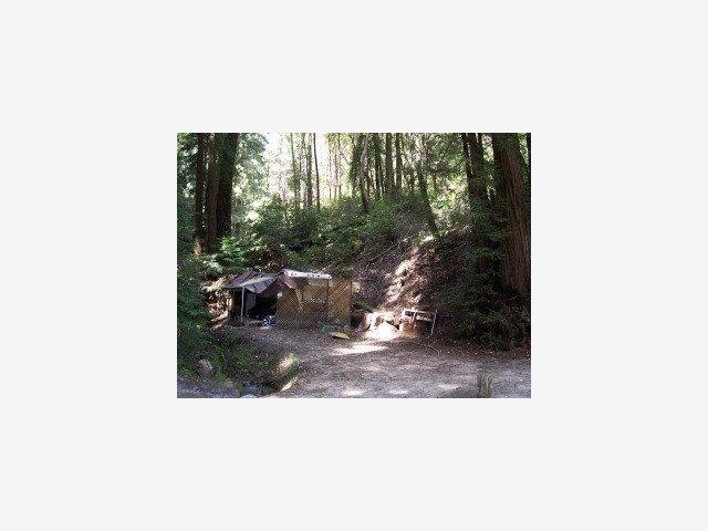 TRINKLING CREEK, SAN LORENZO, California 95018, ,Lots And Land,For Sale,TRINKLING CREEK,40966792