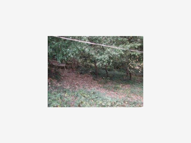 VERA Avenue, SAN LORENZO, California 95018, ,Lots And Land,For Sale,VERA Avenue,40966837