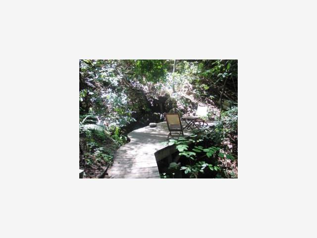 1203 FANNING GRADE, SAN LORENZO, California 95005, ,Lots And Land,For Sale,FANNING GRADE,40966882