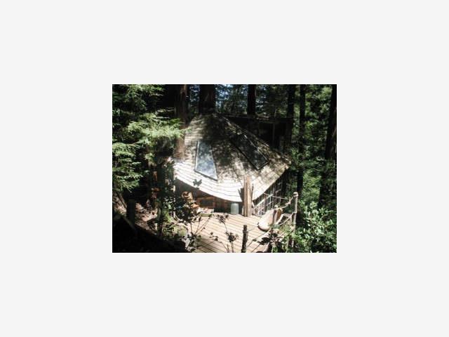 1203 FANNING GRADE, SAN LORENZO, California 95005, ,Lots And Land,For Sale,FANNING GRADE,40966882