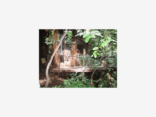 1203 FANNING GRADE, SAN LORENZO, California 95005, ,Lots And Land,For Sale,FANNING GRADE,40966882