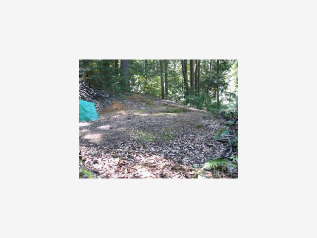1203 FANNING GRADE, SAN LORENZO, California 95005, ,Lots And Land,For Sale,FANNING GRADE,40966882