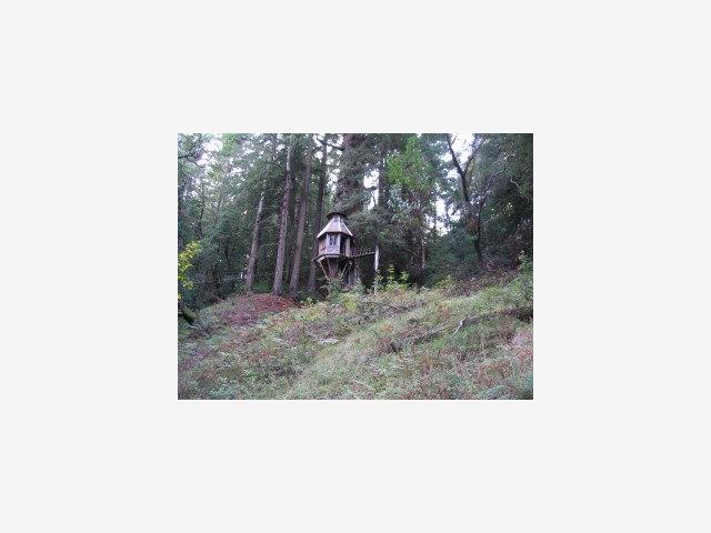 2718 HERMIT RANCH Road, SAN LORENZO, California 95005, ,Lots And Land,For Sale,HERMIT RANCH Road,40962709