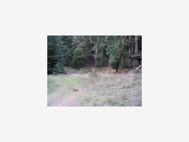 2718 HERMIT RANCH Road, SAN LORENZO, California 95005, ,Lots And Land,For Sale,HERMIT RANCH Road,40962709