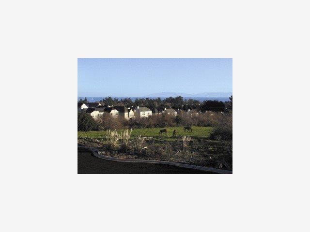 118 PENGUIN Court, SANTA CRUZ, California 95060, ,Lots And Land,For Sale,PENGUIN Court,40966778