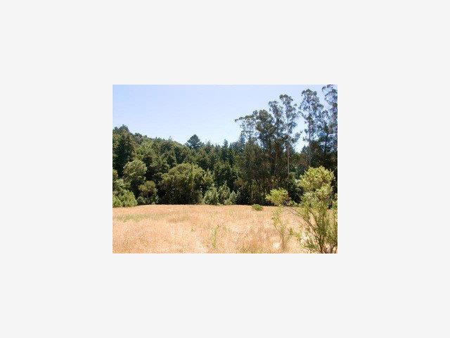 4363 BRANCIFORTE Drive, SCOTTS VALLEY, California 95065, ,Lots And Land,For Sale,BRANCIFORTE Drive,40966773