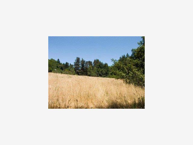 4363 BRANCIFORTE Drive, SCOTTS VALLEY, California 95065, ,Lots And Land,For Sale,BRANCIFORTE Drive,40966773