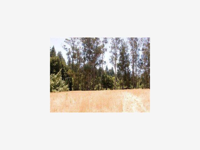 4363 BRANCIFORTE Drive, SCOTTS VALLEY, California 95065, ,Lots And Land,For Sale,BRANCIFORTE Drive,40966773