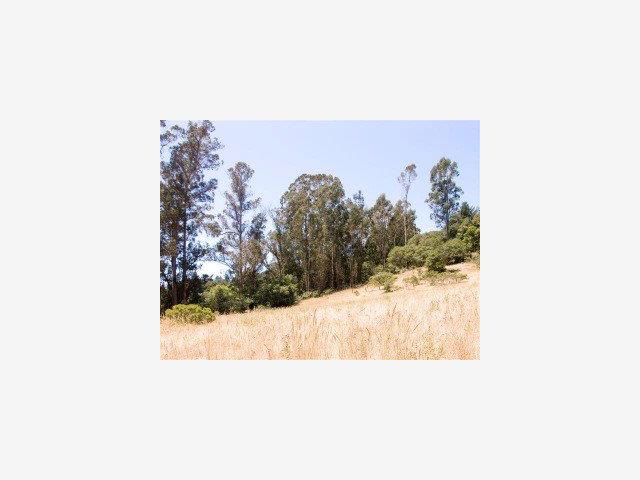 4363 BRANCIFORTE Drive, SCOTTS VALLEY, California 95065, ,Lots And Land,For Sale,BRANCIFORTE Drive,40966773