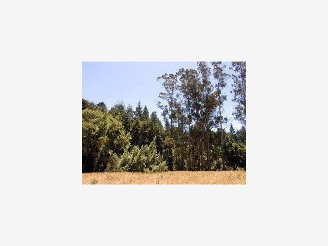 4363 BRANCIFORTE Drive, SCOTTS VALLEY, California 95065, ,Lots And Land,For Sale,BRANCIFORTE Drive,40966773