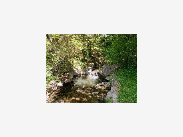 4363 BRANCIFORTE Drive, SCOTTS VALLEY, California 95065, ,Lots And Land,For Sale,BRANCIFORTE Drive,40966773