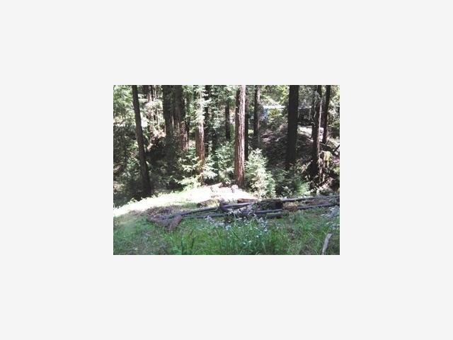 00 Holmwood Hallow Road, SCOTTS VALLEY, California 95066, ,Lots And Land,For Sale,Holmwood Hallow Road,40966811