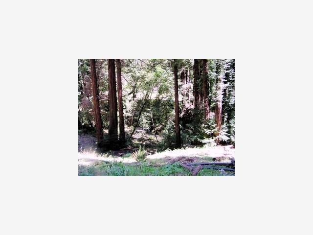 00 Holmwood Hallow Road, SCOTTS VALLEY, California 95066, ,Lots And Land,For Sale,Holmwood Hallow Road,40966811