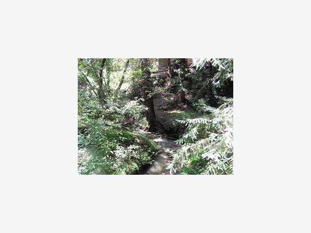00 Holmwood Hallow Road, SCOTTS VALLEY, California 95066, ,Lots And Land,For Sale,Holmwood Hallow Road,40966811