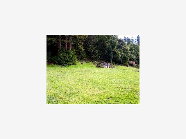 1952 BRANCIFORTE Drive, SCOTTS VALLEY, California 95065, ,Lots And Land,For Sale,BRANCIFORTE Drive,40966878