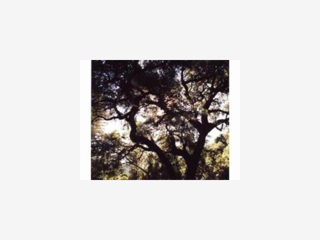 0 Soquel San Jose Road, SOQUEL, California 95073, ,Lots And Land,For Sale,Soquel San Jose Road,40962759