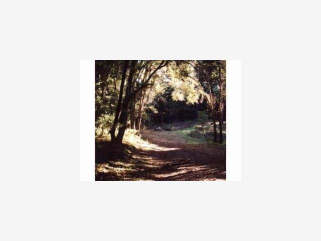 0 Soquel San Jose Road, SOQUEL, California 95073, ,Lots And Land,For Sale,Soquel San Jose Road,40962759